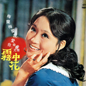 霧中花
