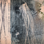 Was it only a dream?