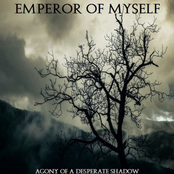 Αgony Of A Desperate Shadow