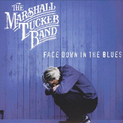 Ways Of A Woman by The Marshall Tucker Band