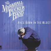 Like Good Music by The Marshall Tucker Band