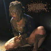 Cleansing Of Ordure