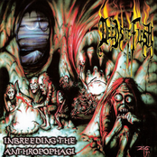 Canvas Of Flesh by Deeds Of Flesh
