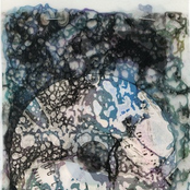 Children of the Torn Snare