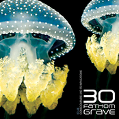 Consciousness and its Implications