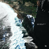 From Other Lands: IV