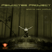 Changed Forever by Psilocybe Project