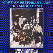 Diddy Wah Diddy by Captain Beefheart & His Magic Band