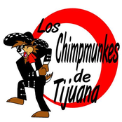 Los Chimpmunkes De Tijuana