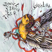 Daniel Striped Tiger-Sinaloa (Split)