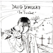 Ashes On The Highway by David Dondero