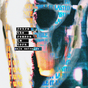 you're the reason i'm torn