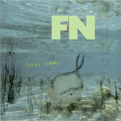 Fuzzy Naval