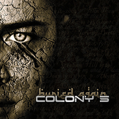 Fanatic by Colony 5
