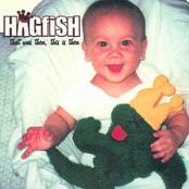 Hagfish: That Was Then, This Is Then