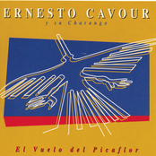 El Vuelo Del Picaflor