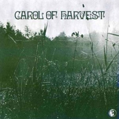 Treary Eyes by Carol Of Harvest