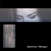 Domestic Fatigue