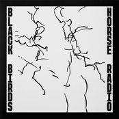 Blackbirds live