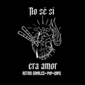 No sé si era amor