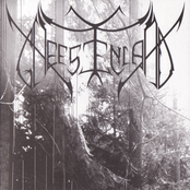 Total Necro Deceased