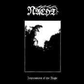 Impressions Of The Night