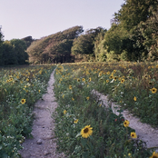 Some Sunny Day - Single