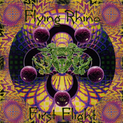 Flying Rhino - First Flight