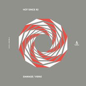 Hot Since 82: Damage / Veins