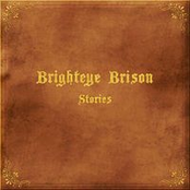 Stories by Brighteye Brison