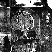 He Determines The Number Of Stars And Calls Them Each By Name