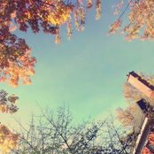 Things I Shouldn’t Say