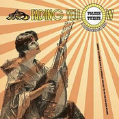 Fading yellow Vol 12