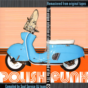 Polish Funk - The Unique Selection Of Rare Grooves From Poland Of The 70's