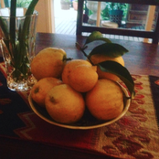 Fill The Bathtubs, Turn Off The Lights And Brace For The New Millennium