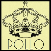Pollo