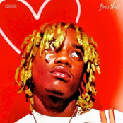 Bear1Boss: bear1boss