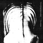 Totenfotze