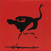 Swirlies' Magic Strop: Orca Vs. Dragon