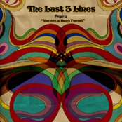 You're a Deep Forest