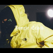 Jungle Crack