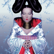 Bjork: Homogenic