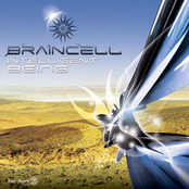Electrochemical Communication by Braincell
