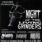 Night Of The Living Grinders
