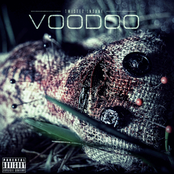 Twisted Insane: Voodoo