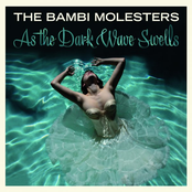 Into The Crimson Sunset by The Bambi Molesters