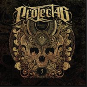 Nobody's Land (English Version)