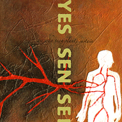 We Who Transplant, Sustain