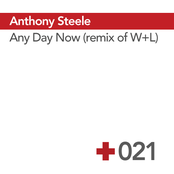 Any Day Now (remix)