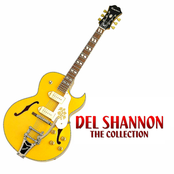 Cold Cold Heart by Del Shannon